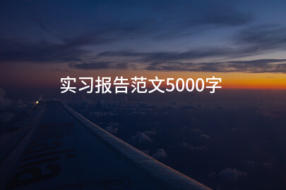 實習報告范文5000字