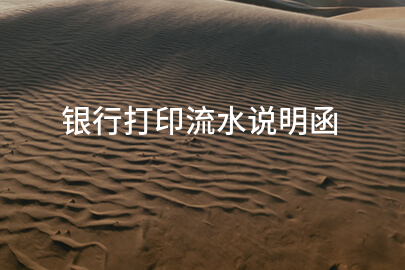 银行打印流水说明函