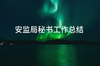 安监局秘书工作总结