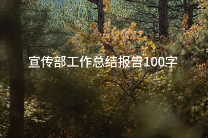 宣传部工作总结报告100字