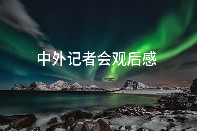 中外记者会观后感