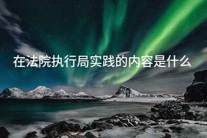 在法院执行局实践的内容是什么