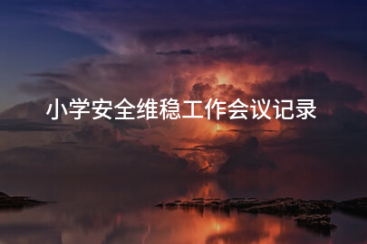 小学安全维稳工作会议记录