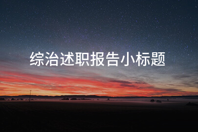 综治述职报告小标题