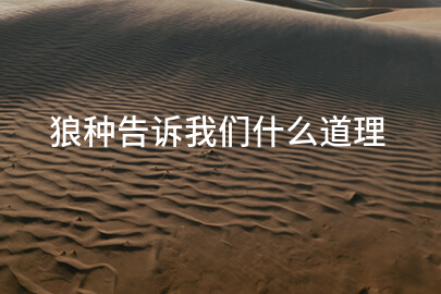 狼种告诉我们什么道理