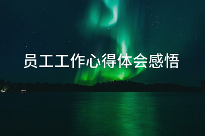 员工工作心得体会感悟