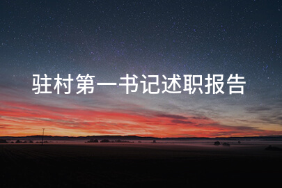 驻村第一书记述职报告