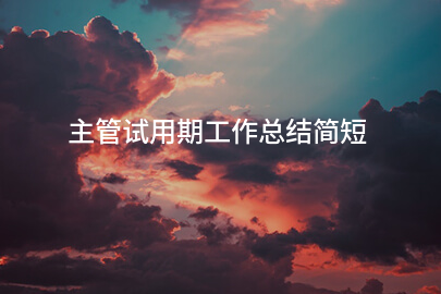 主管试用期工作总结简短
