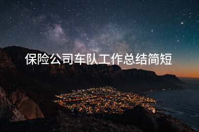 保险公司车队工作总结简短