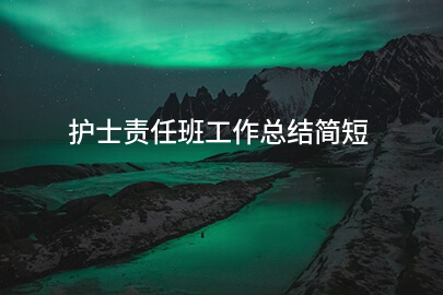 护士责任班工作总结简短