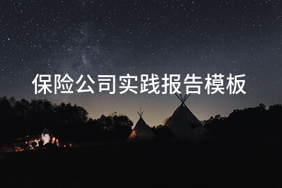 保險公司實踐報告模板