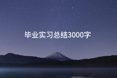 毕业实习总结3000字