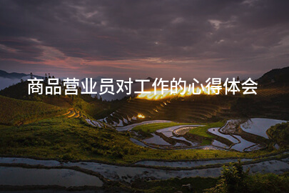 商品营业员对工作的心得体会
