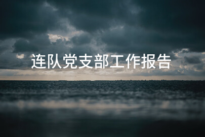 连队党支部工作报告