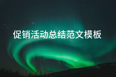 促销活动总结范文模板