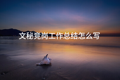 文秘竞岗工作总结怎么写