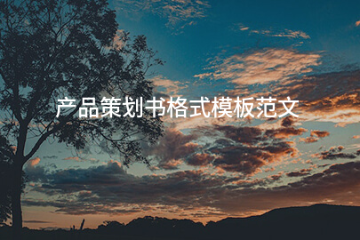 产品策划书格式模板范文