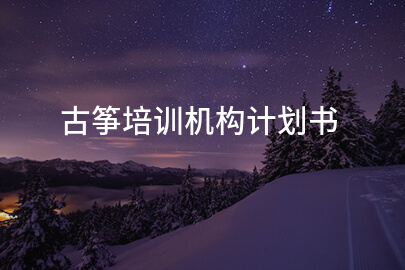 古筝培训机构计划书