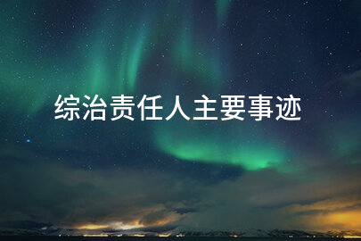 综治责任人主要事迹
