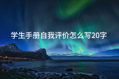 学生手册自我评价怎么写20字