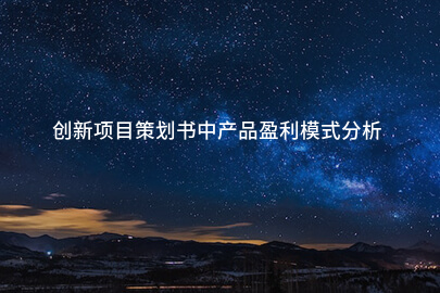 创新项目策划书中产品盈利模式分析