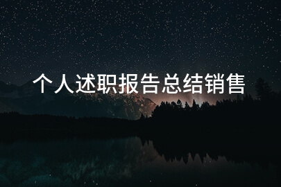 个人述职报告总结销售