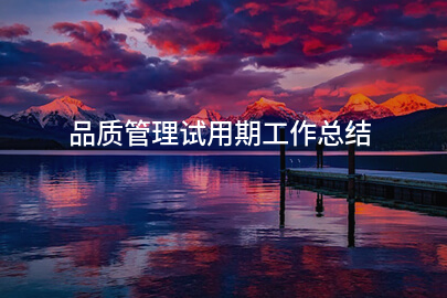 品质管理试用期工作总结