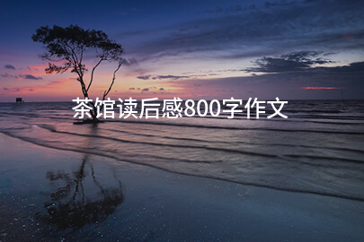 茶馆读后感800字作文