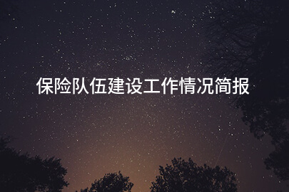保险队伍建设工作情况简报