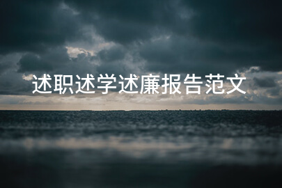 述职述学述廉报告范文