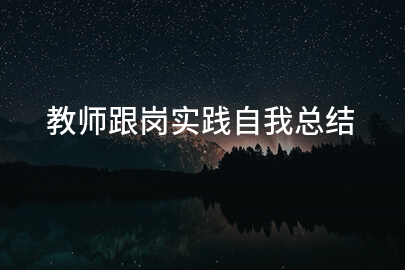 教师跟岗实践自我总结