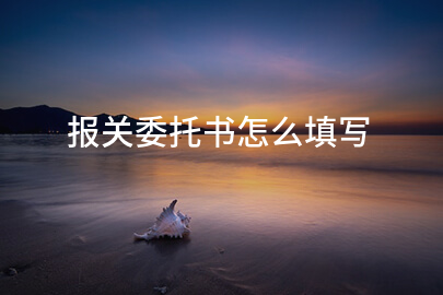 报关委托书怎么填写