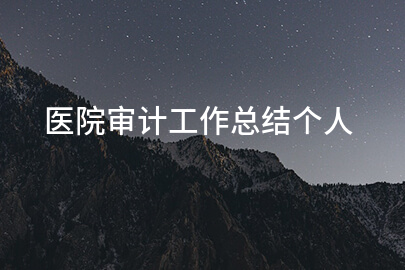 医院审计工作总结个人