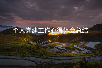 个人党建工作心得体会总结