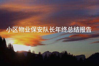 小区物业保安队长年终总结报告