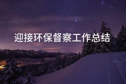 迎接环保督察工作总结