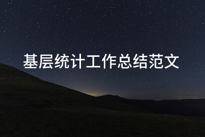 基层统计工作总结范文