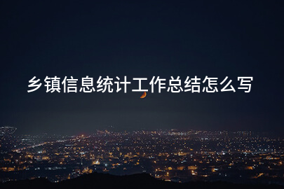 乡镇信息统计工作总结怎么写