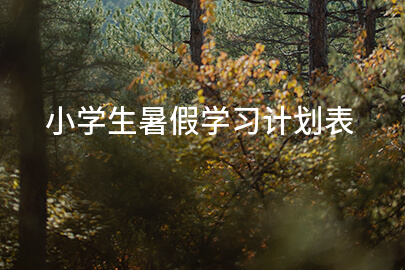 小学生暑假学习计划表