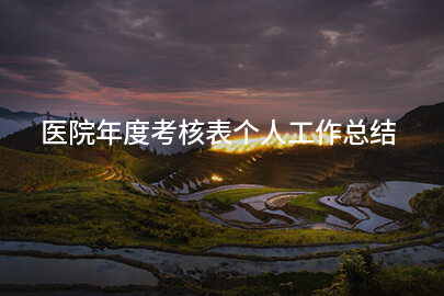 医院年度考核表个人工作总结
