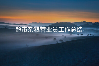 超市杂粮营业员工作总结