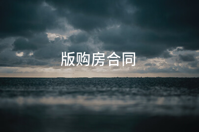 版购房合同