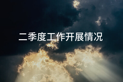 二季度工作开展情况
