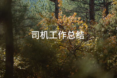 司机工作总结