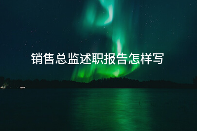 销售总监述职报告怎样写