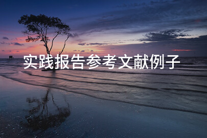 实践报告参考文献例子