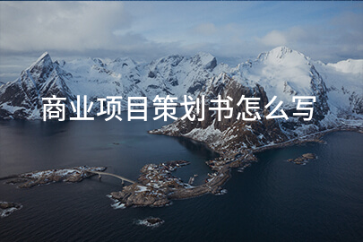 商业项目策划书怎么写
