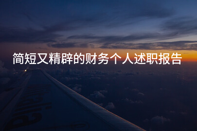 简短又精辟的财务个人述职报告