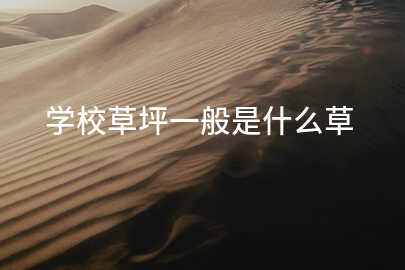 学校草坪一般是什么草