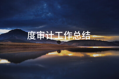 度审计工作总结